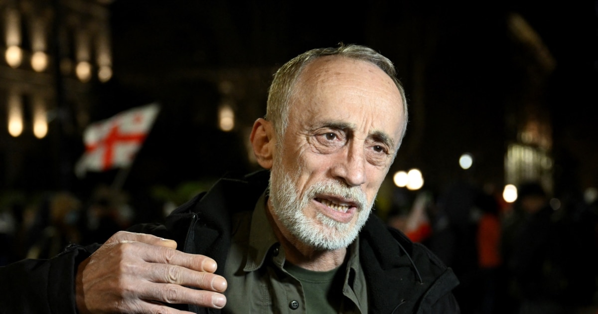 შსს-მ ნადიმ ხმალაძის ცემის ფაქტზე გამოძიება დაიწყო