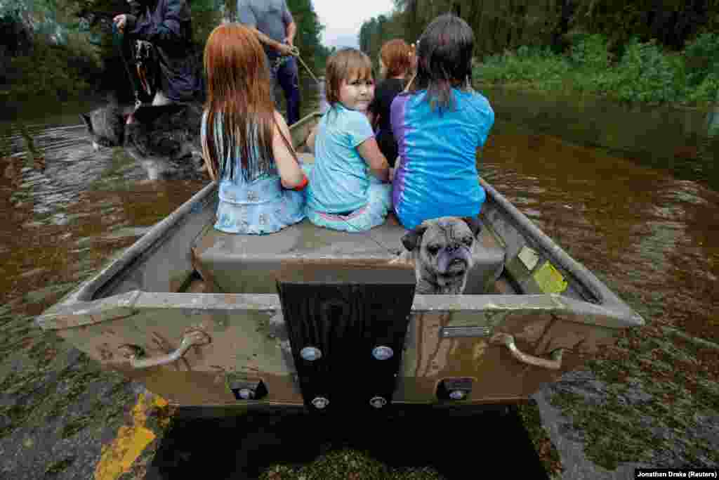 Iva Williamson, 4, peers behind her as she joins neighbors and pets in fleeing rising flood waters in the aftermath of Hurricane Florence in Leland, North Carolina, on September 16. (Reuters/Jonathan Drake)