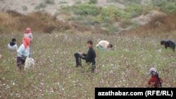 Lebap welaýatynda, 27-nji oktýabr.