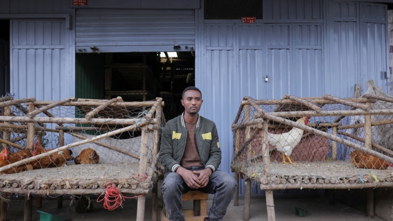 Peste 4.000 de asiatici și africani acoperă deficitul de mână de lucru în fermele din România