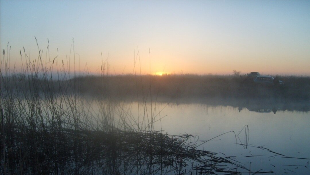 Еңкейген қыздардың суреттері Женка секс колониясын таң қалдырды