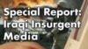 RFE/RL Report Exposes Flaws In Insurgent Media Tactics