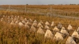 Колючий дріт і «зуби дракона» вздовж лінії оборони, Донецька область, 11 вересня 2025 року