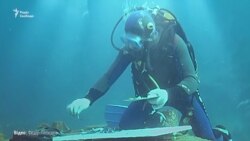 Він малював під водою: спомини друзів та колег про Олександра Білозора (відео)