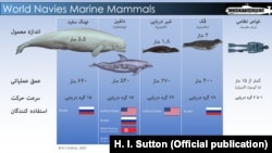 اینفوگرافیک: برخی پستانداران به کار گرفته شده در نیروهای دریایی چند کشور