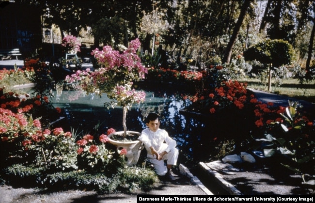 A boy lost in thought in a garden in Galandovak in the northeast of Tehran.