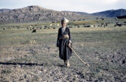 Млада жена от кашкайски произход, работи като пъдар в провинция Фарс в южната част на Иран.