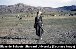 Egy fiatal kaskáik pásztor Dél-Iránban.