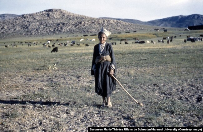 A young Qashqai shepherd in Fars Province in southern Iran.