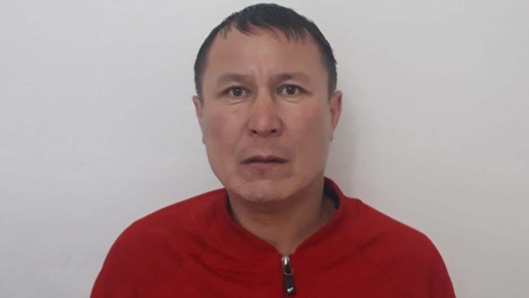 Алена түлкі Алена түлкі бейне