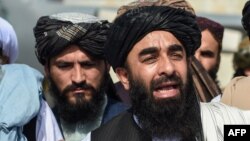 ذبیح الله مجاهد سخنگوی حکومت طالبان