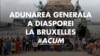 Lorina Bălteanu: „O țară se construiește și prin proteste”