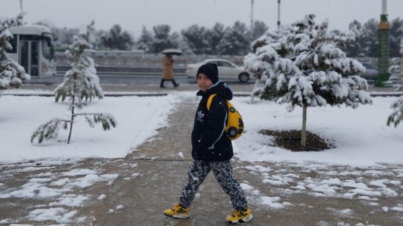 Halkyň Sesi: 2025-nji ýyl türkmen halkynyň raýat işjeňligi ýoluna düşendigini görkezdi