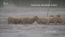 Ötən həftənin yadda qalan əsas xarici xəbərləri