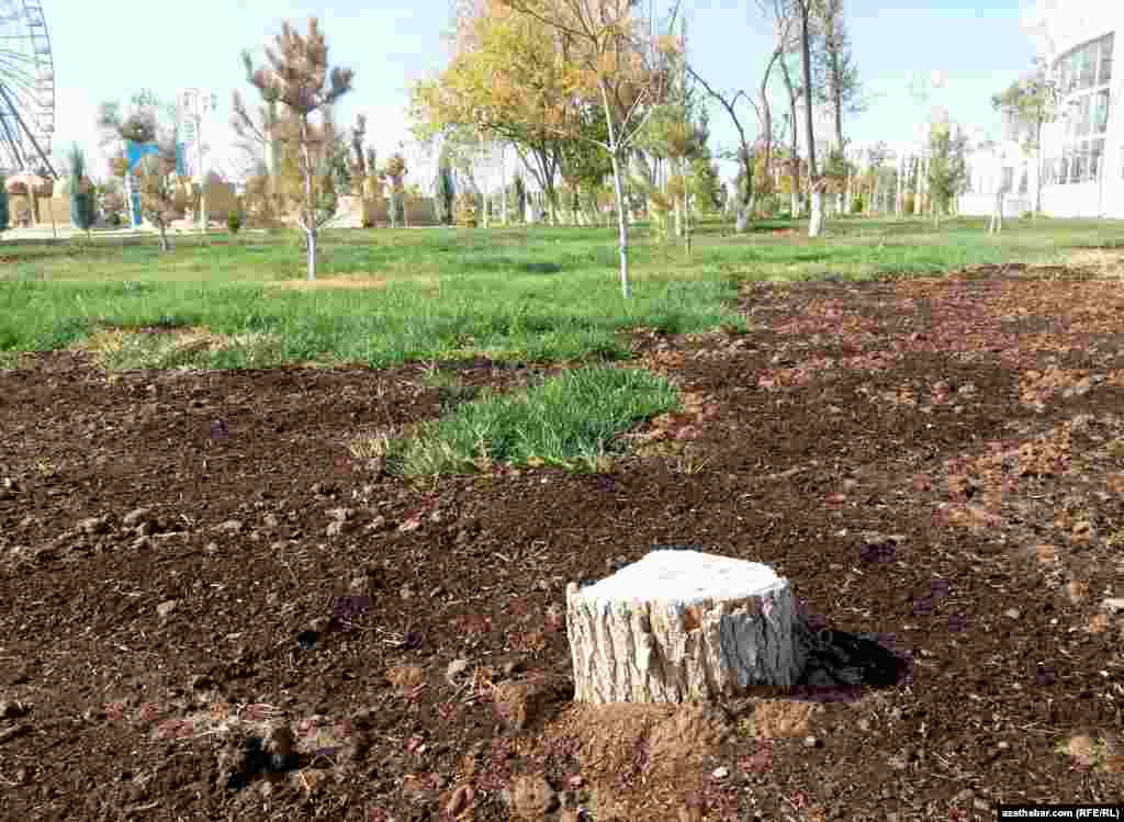 Köne parkyň üýtgedilmegi geçen ýylyň tomusynda rekonstruksiýa etmek işleri bilen başlanypdy.