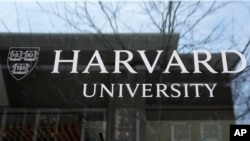 Harvard Universiteti