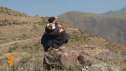 Алайкуу: Тоодо торолгондор