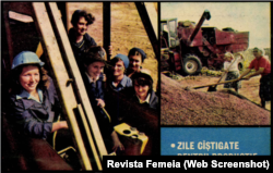 Din punct de vedere profesional, se promova imaginea femeii active în domenii precum învățământul, științele sau agricultura.