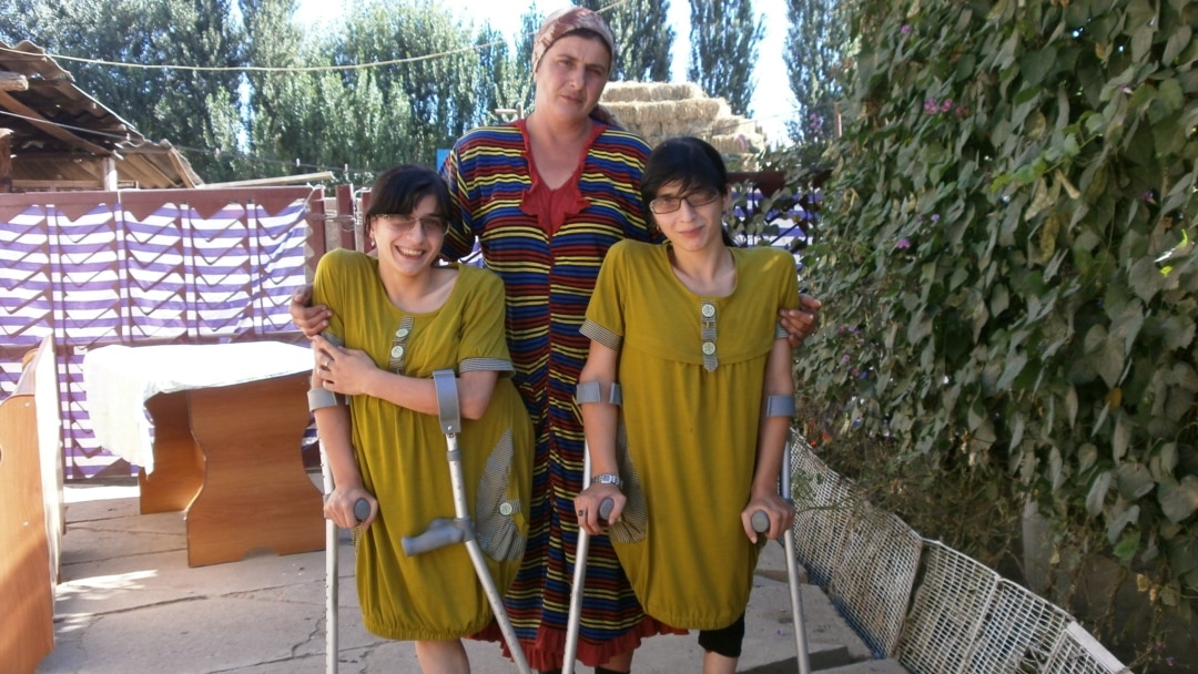 Ұйқыдағы ит стиліндегі бейне