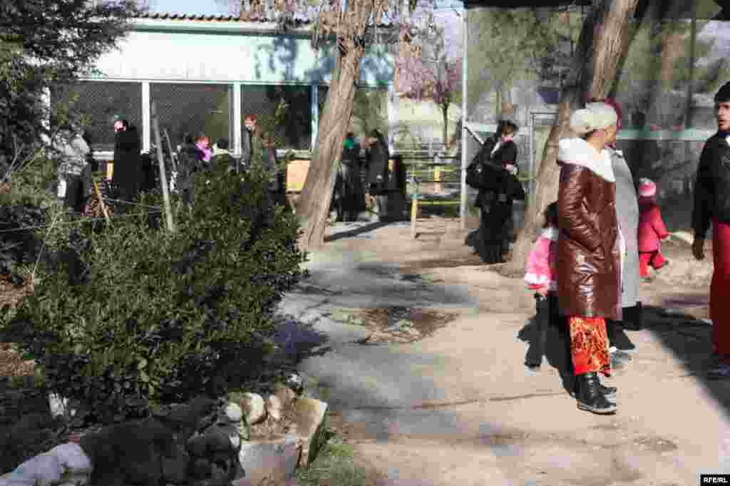 “Ошиқон”-и ҳайвонот #37