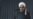 News Analysis: Rohani Makes His Move