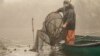Pescarii români au ajuns să ceară despăgubiri și ajutoare de stat pentru că de 17 ani nu mai pot prinde legal sturioni din cauza prohibiției impuse pentru a nu se ajunge la dispariția speciilor.