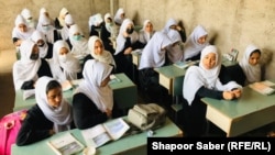 Secondary and high schools for girls reopened in Herat Province on November 3.
