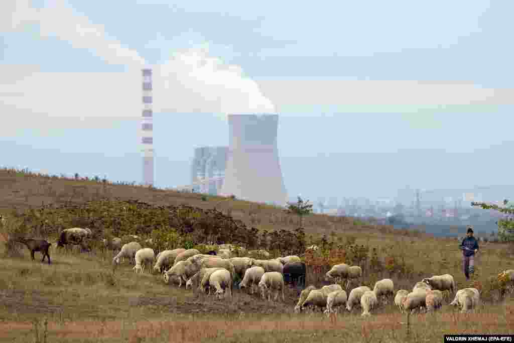 A shepherd watches his flock graze on a pasture near a coal-fired power plant in the town of Obilic, Kosovo.