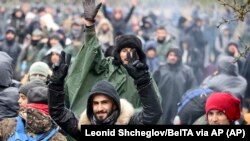 Belarus-Polşa sərhədində qaçqınlar, noyabr, 2021-ci il