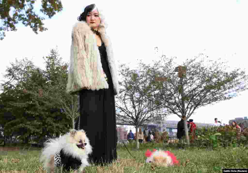 Сейра Сорая, одетая как Круэлла со своими померанцами Хангом Хангом и Паунгом Паунгом, одетыми далматинцами