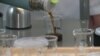 Grab - Sustainable lab-grown coffee could be climate change-proof.
