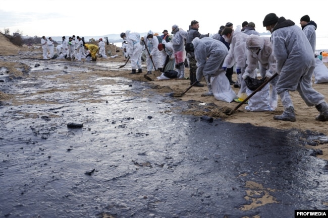 Voluntarii curăță păcura de pe o plajă din apropierea stațiunii Anapa, 25 decembrie.