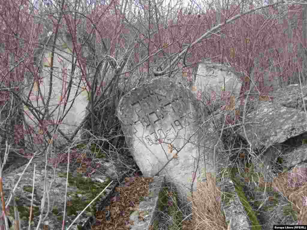 Vechi pietre tombale &icirc;n cimitirul evreiesc abandonat de la Rezina pe Nistru.