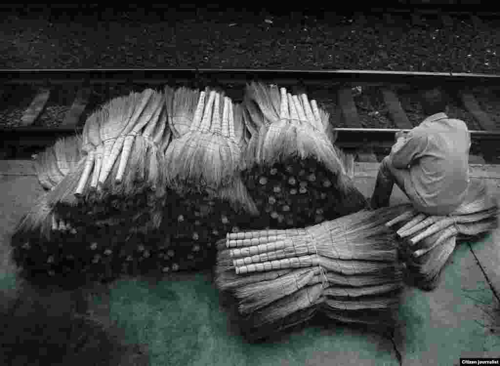 294 მიხეილ სამხარაძე: ”ცოცხების იმპერატორი”