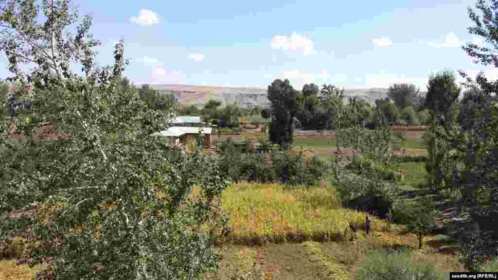 Сўғд вилояти&cedil; Ғончи тумани Манғит қишлоғи