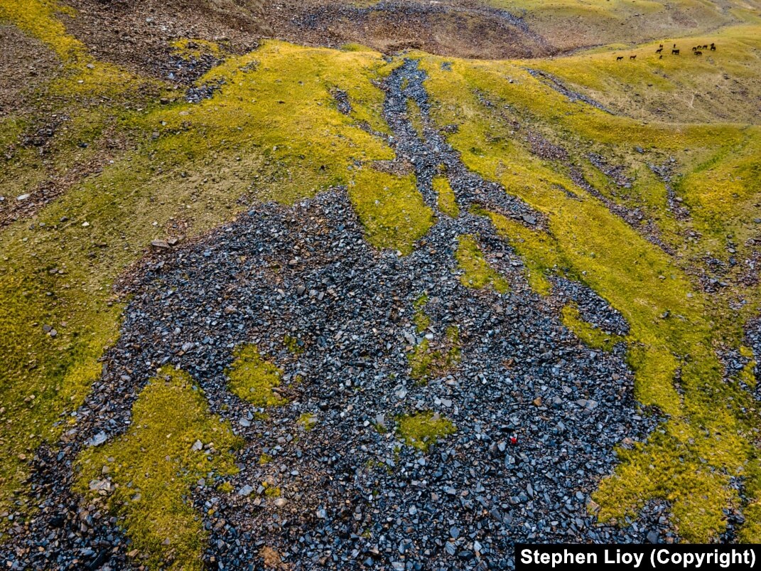 Onlayn külotlu çoraplarda kaltaklar