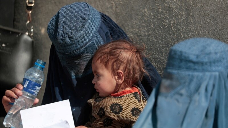 «Талибан» запретил женщинам доступ к вступительным экзаменам в вузы