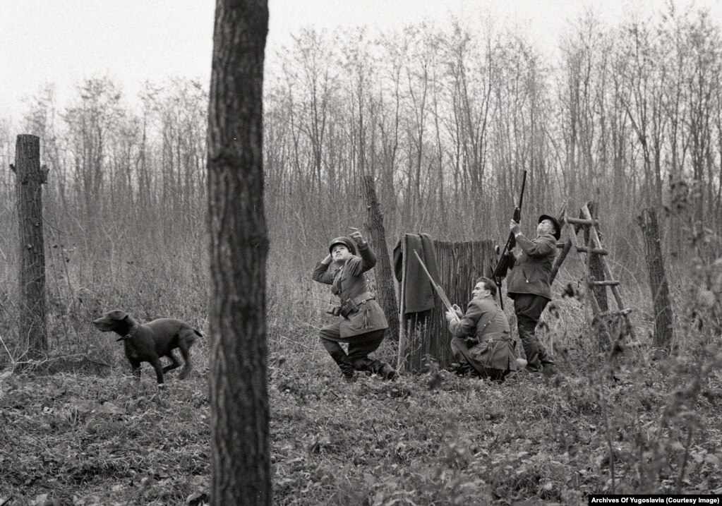 Тито (справа) наблюдает за падением фазана, которого он только что подстрелил из дробовика во время охоты в Караджорджеве в 1960 году.