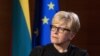 Уряд Литви виділить 35 мільйонів євро на ініціативу Чехії із закупівлі боєприпасів