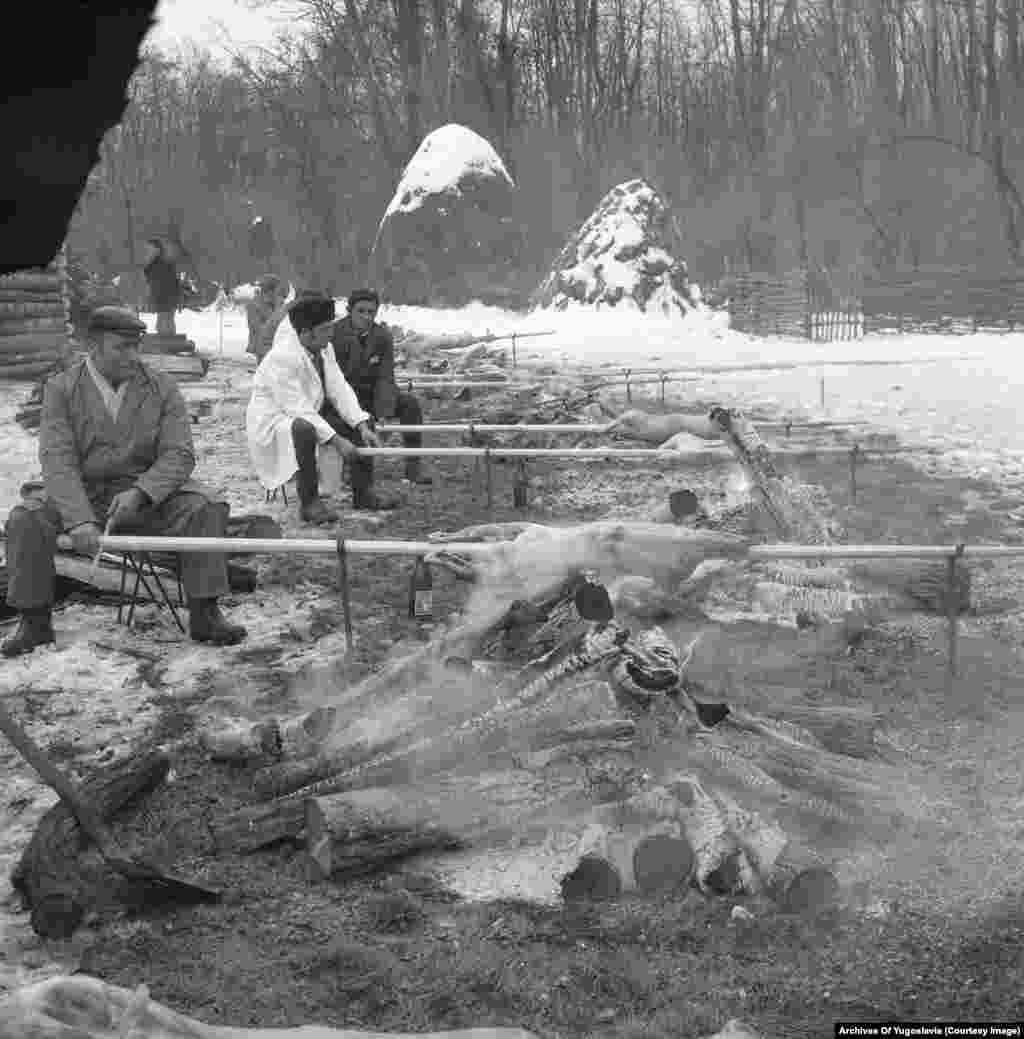 Печење на ражењ на уловените животни во Караѓорѓево во декември 1977 година.