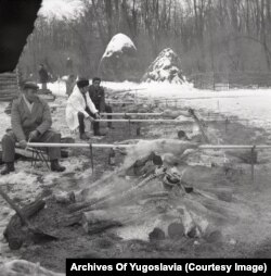 Azonosítatlan állatokat forgatnak nyárson egy lakoma előtt Karadjordjevóban 1977 decemberében