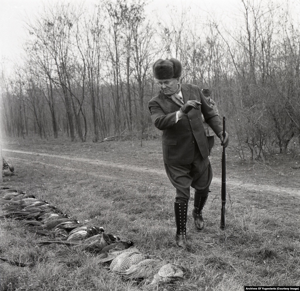 Тито осматривает только что убитых и выложенных в ряд фазанов во время охоты в Караджорджеве в ноябре 1961 года.