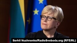 «Те, що він робить зараз – він практично на сто відсотків перебуває на балансі у Кремля», – заявила Інґріда Шимоніте