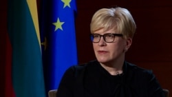 Lithuanian Prime Minister Warns Against Thinking Kremlin Is Bluffing Over Ukraine