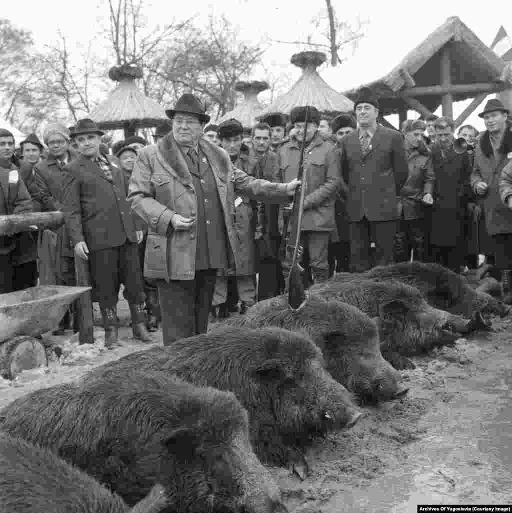 Тито со диви свињи штотуку уловени кај Караѓорѓево Југословенската делегација им наложи на учесниците да ловат претежно &bdquo;фазани и зајаци, додека ловот на елени, елени и срни е забранет&ldquo;. Домаќините побараа и секој да си донесе пушка и муниција.