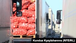 Стоящие в очереди на кыргызско-казахской границе грузовые фуры.