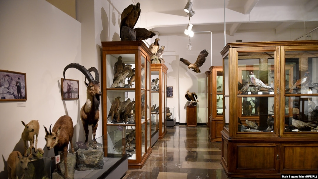 Scores of employees at Georgia's National Museum have been controversially fired in the past year. (file photo)