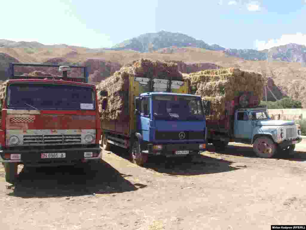 Сатуучулар бир боо чөптү 75 сомдон сатып алып кайрадан 100 сомдон сатышууда. Акыркы күндөрү соода болбой жатканын айтышат. Себебин быйыл чөптүн көптүгүнө байланыштырышууда.