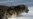 Snow Leopards Found In Afghanistan
