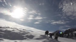 له ګبین جبې په واورو کې د ښایستونو ګبین بهېږي